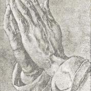 31.01.2017, Herbert Gruna